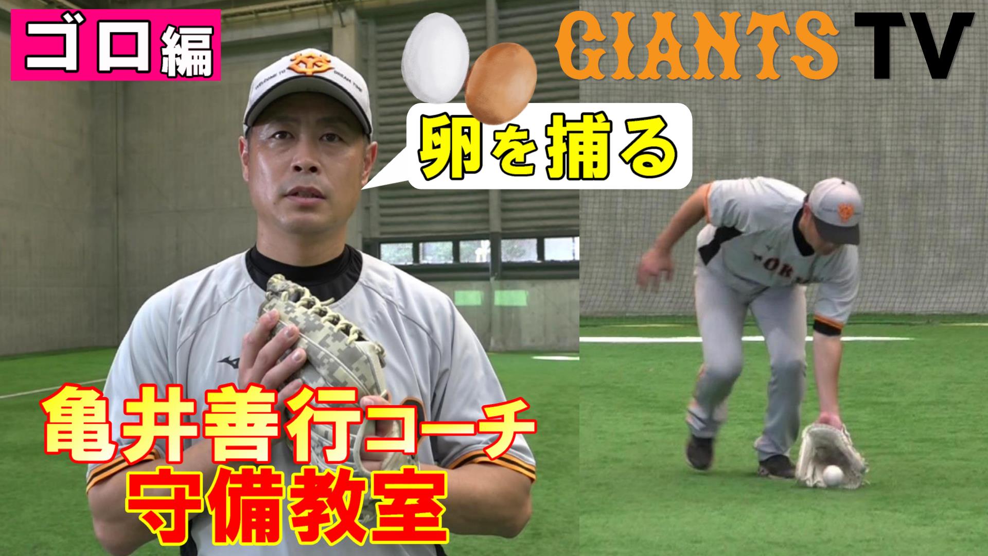 亀井選手コーチ実使用バット巨人ジャイアンツ巨人ジャイアンツ