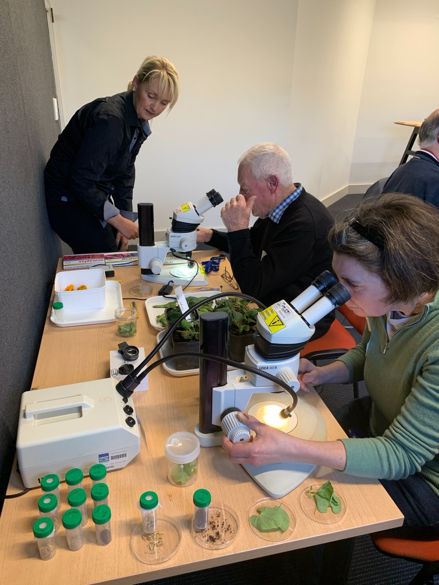 Bugologists's tweet photo. It was a busy week last week hosting @plantandfood workshops for #strawberry growers and scouts across NZ to offer hands on experience identifying pests and beneficials. Australian #IPM expert Dr Paul Horne held discussions on improving #pestmanagement via IPM implementation. https://t.co/n9mFMf5P6V