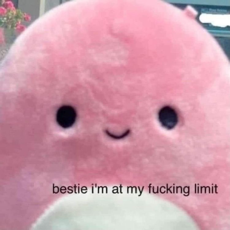 lilsadtherapper's tweet photo. @goddamemermaid8 https://t.co/tPlMIR4wqR