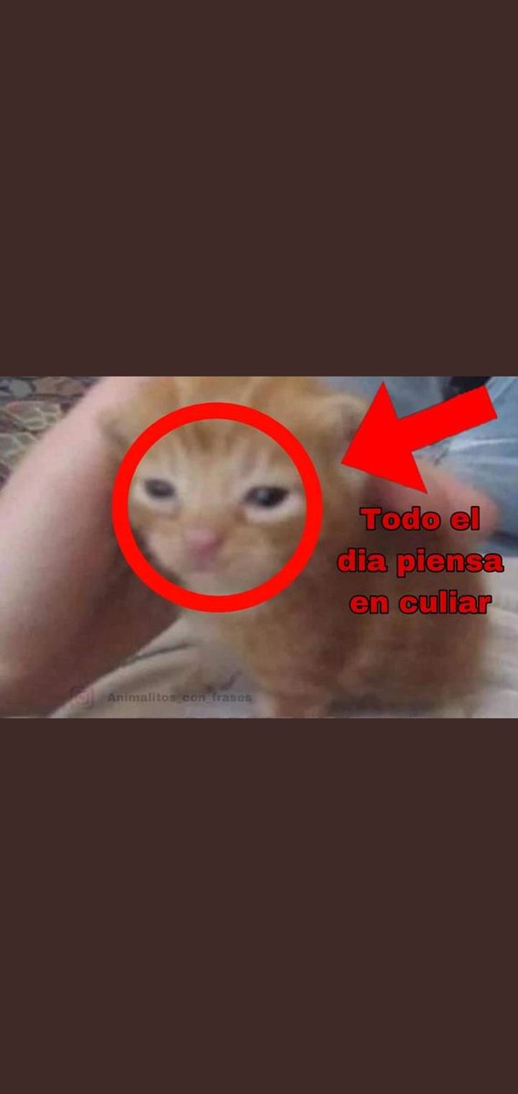 sampapit's tweet photo. Ayuda , todo el dia estoy kmo roca https://t.co/iB1IDPMZcH