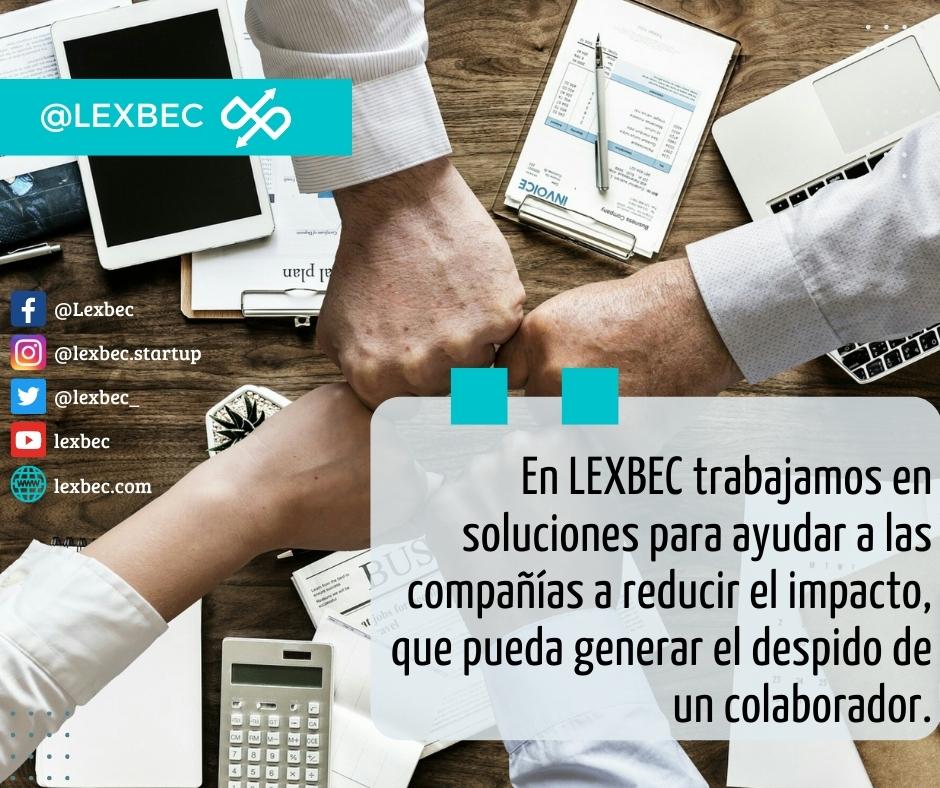LEXBEC_'s tweet photo. Si eres directivo de tu compañía o formas parte del equipo de recursos humanos 🤝nos encantaría escucharte y construir soluciones basados en tus sugerencias 📈

Si te gustaría agendar un espacio, por favor déjanos saber en ✉️ lexbec.startup@gmail.com

#LexbecStartup #HRTech https://t.co/Ab1Fgm6sC9