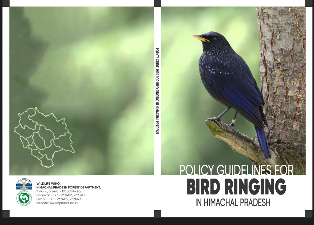 tmelanocephalus's tweet photo. Truly an important milestone in HP's wildlife conservation history!! 
This pioneering publication showcases HP's commitment for bird conservation and paves the way for other Indian States &amp; UT's in undertaking bird ringing. https://t.co/vQP7hYgDoT