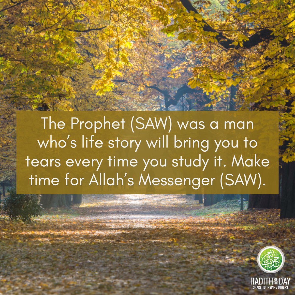 Hadithoftheday's tweet photo. Study the seerah. https://t.co/E6EZW6pSeI