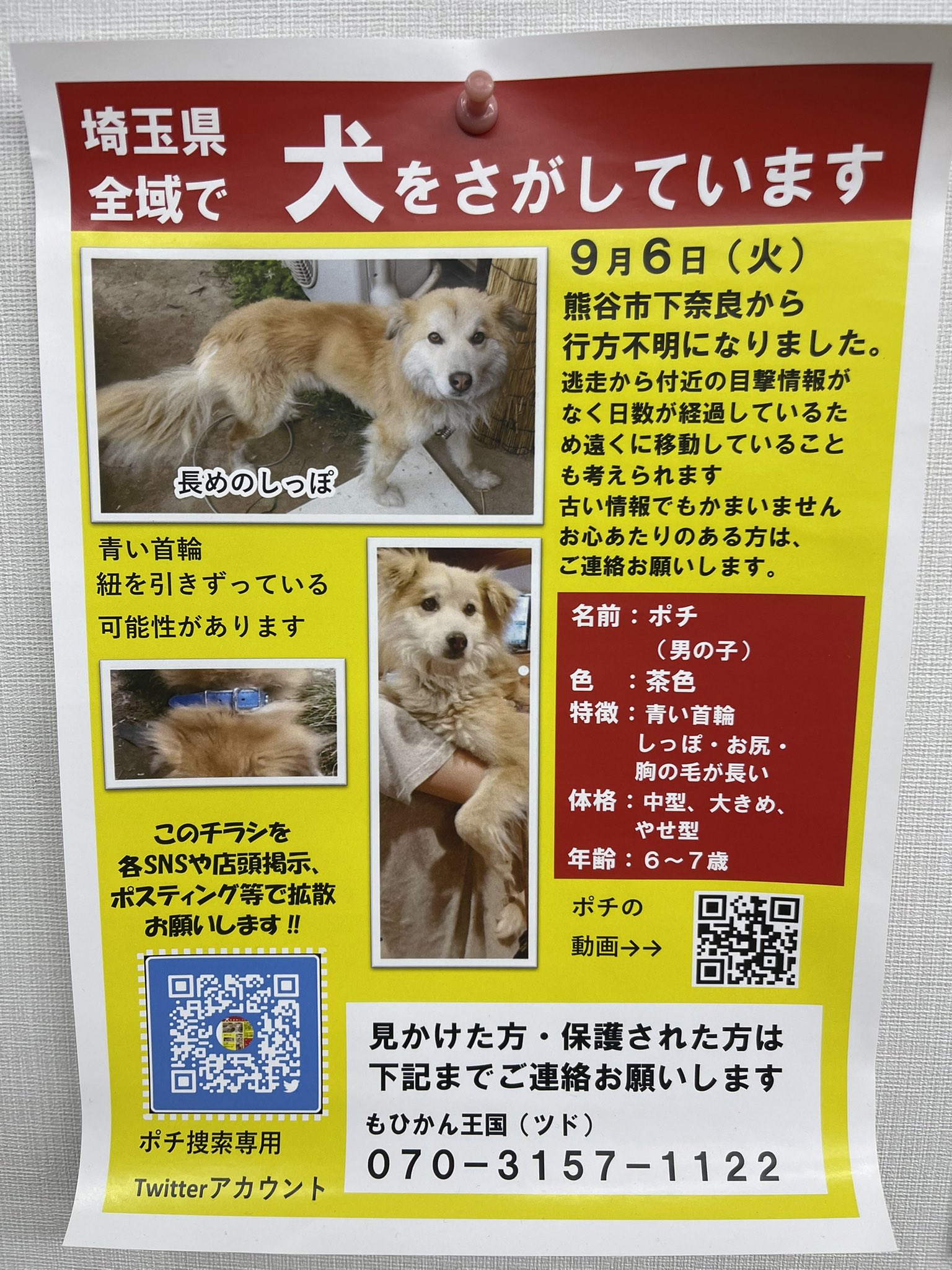 沢田・志村の「さあ、殺せ！」 2003年舞台 販促非売品ポスター