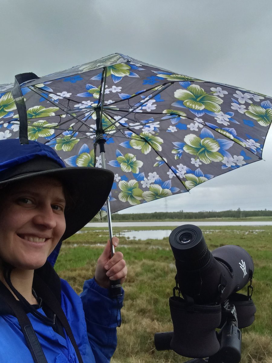 Mattea Taylor tweet media