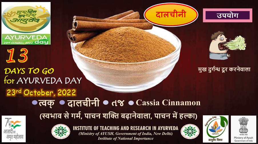 Just 13 days to go for the #AyurvedaDay2022.

Join us in the grand celebrations.

#Ayush #HarDinHarGharAyurveda #Ayurveda
#moayush