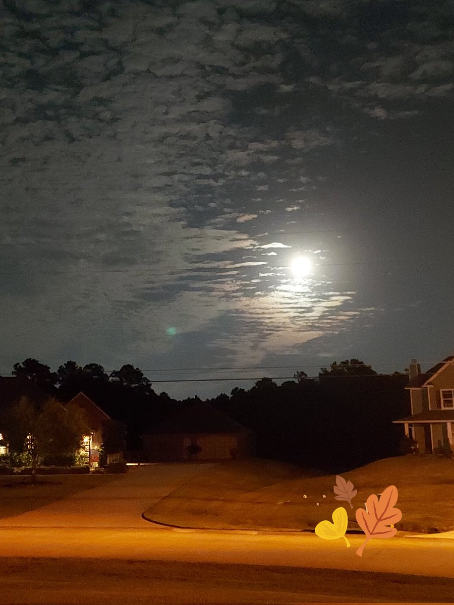 Blake_Leigh33's tweet photo. 😵‍💫 Hunter's Moon 🐺🌚 https://t.co/6USM8sYyNd