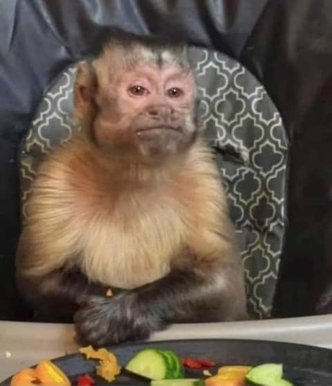 mel_ldt's tweet photo. Cómo que no se fue Macky? #MasterChefCelebrity https://t.co/jFn6aI178I