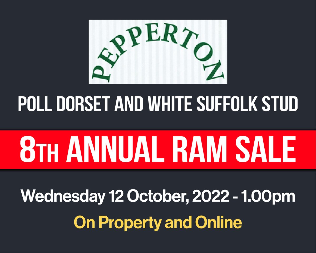 Shearwell Australia tweet media