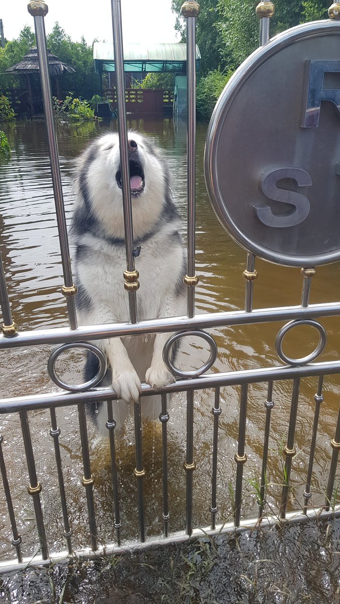 ช่วยโด้ยยยยยย บ้านหนูน้ำท่วมมมม