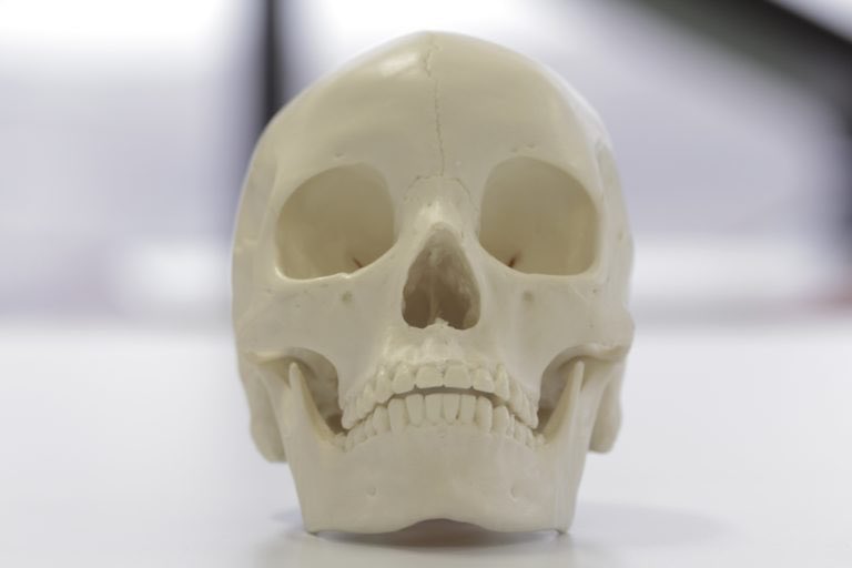 forces you to perceive the nose-skull connection and how it can differ from person to person bc of bone structure in the nose bridge and differently shaped cartilage