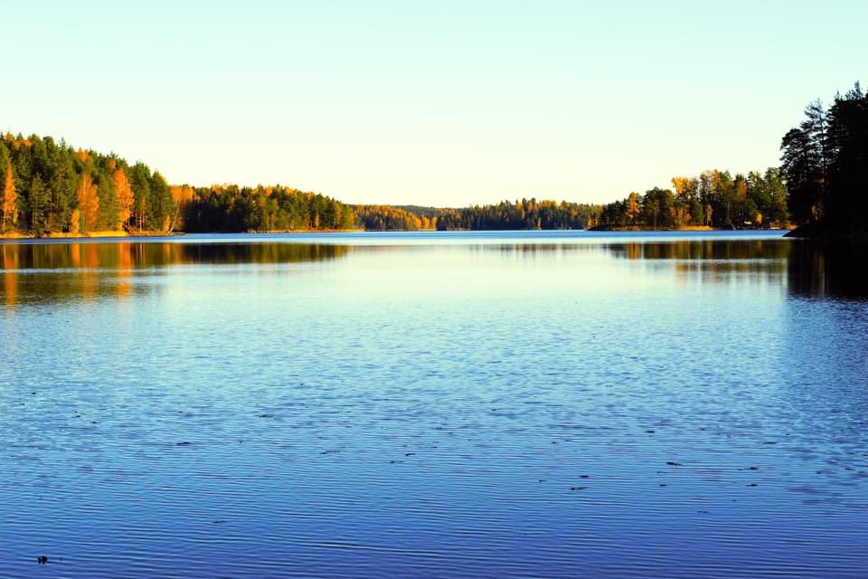 MsBarryHolm's tweet photo. Fall colours
#ruska #thisisfinland #fiskarsvillage #ansku https://t.co/u6lPiN2BVp
