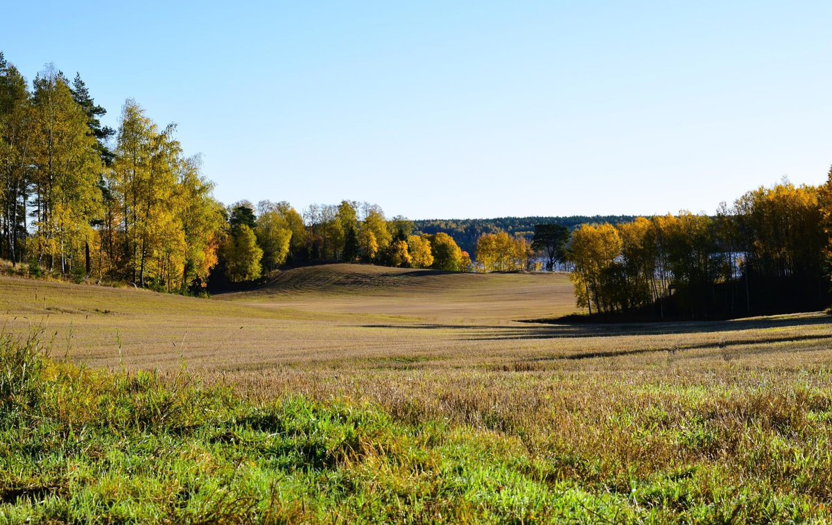 MsBarryHolm's tweet photo. Fall colours
#ruska #thisisfinland #fiskarsvillage #ansku https://t.co/u6lPiN2BVp
