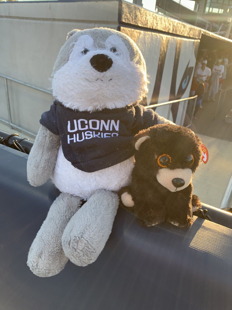 William Paterson University Softball tweet media