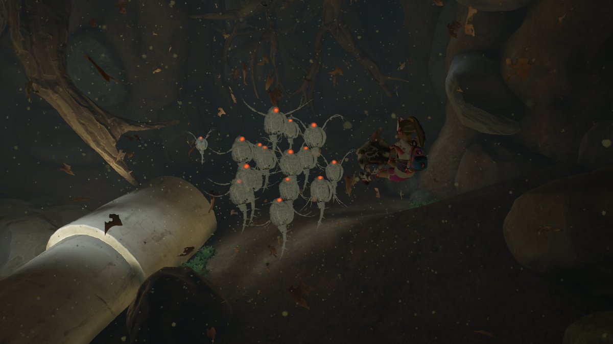 yevliii's tweet photo. Had a gang of these chasing me again haha 😂 #undershed #grounded #waterfleas #spinyones https://t.co/ZswZkXuCFy