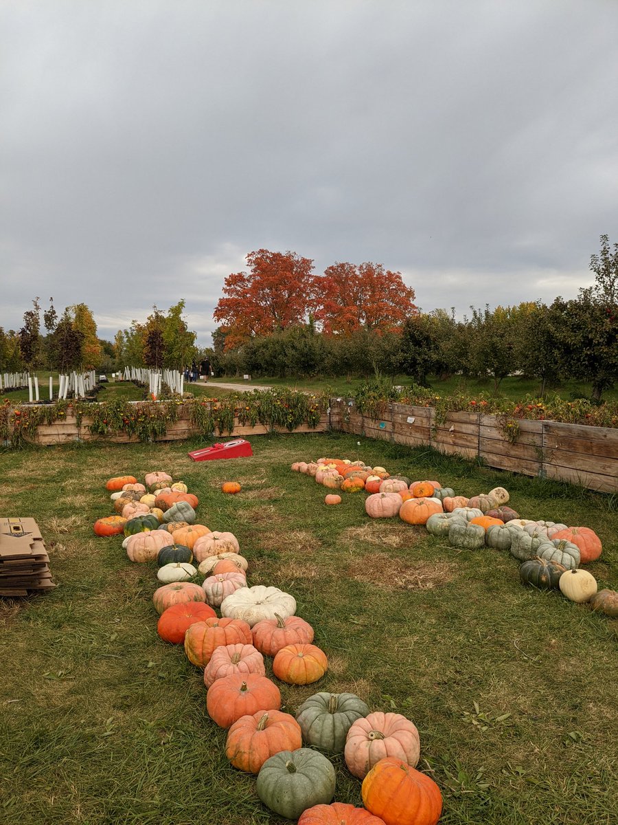 JBousaba's tweet photo. Fall in all its Glory 🍂

#MinnesotaFall #FallintoAutumn #BeautyComesInAllColors https://t.co/X4gk4cF6fN