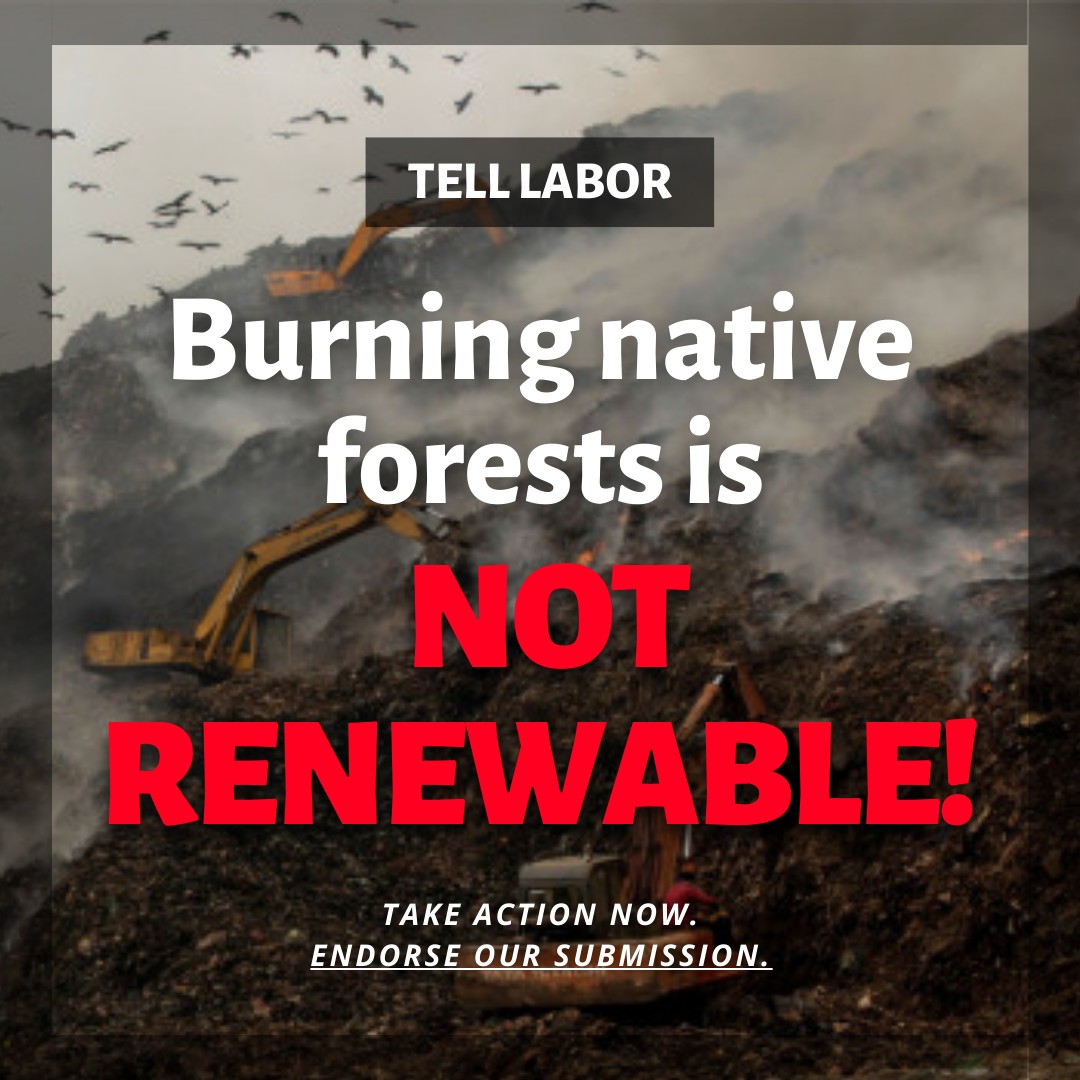 Biomass burning is an absolute disaster for the climate & the environment. Burning forests for energy is not renewable, & emits more carbon than coal!
@FoEAustralia have put together a handy action you can take to oppose this dirty industry> foe.org.au/biomass_burning
#BigBadBiomass