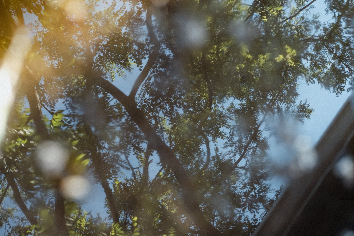 I saw this puddle back in June