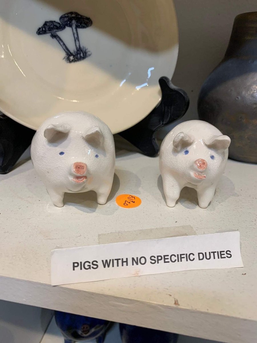 likethejar_'s tweet photo. oh to be a pig with no specific duties https://t.co/qHm1CDCEUk