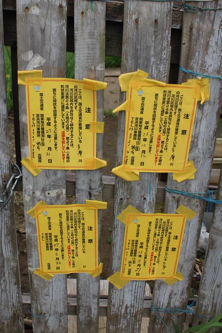多摩川河川敷に作った闇畑を耕すおじいさん。近くのマンションに住んでるそう。「どうしてここに畑があるのがわかった?」と聞かれたので、「航空写真で見たら、ミステリー・サークルみたいになってたのでー」と答えると、「空か!!」と笑ってました。(2019年の台風で畑は流されたと思います) 
