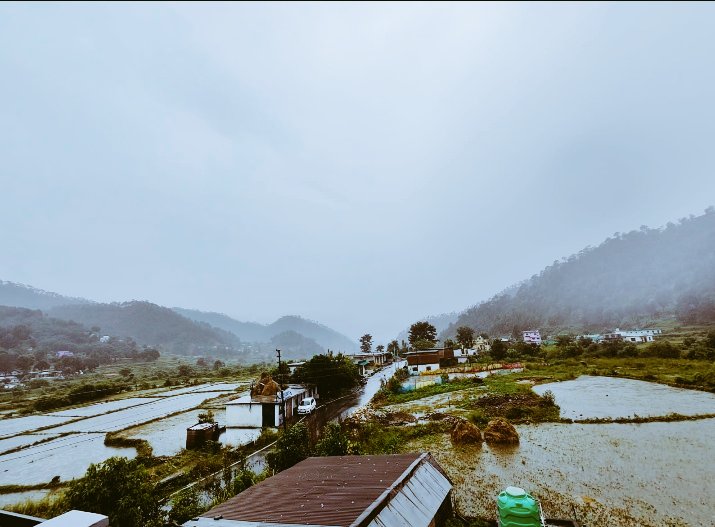 NeerajBishtUK01's tweet photo. आज आप को ले जाते है सांसद लोकसभा #अल्मोड़ा विधानसभा #द्वाराहाट ब्लॉक #बिता घाटी गांव #हाथीपुर मौसम विभाग सूचना बाद में देगा यहां से #लाइव खेत #गदागद है री भुला 😐  @AjayTamtaBJP जी https://t.co/TNH5McvVes
