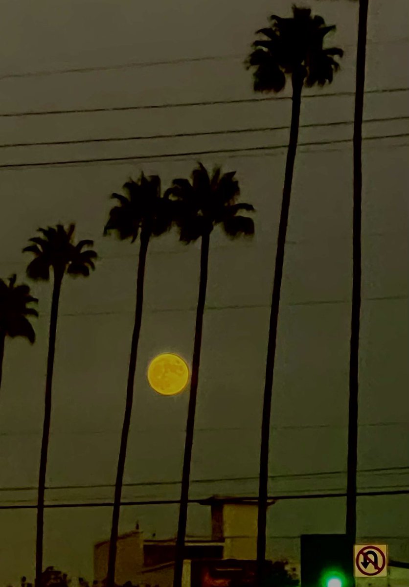 marilerie's tweet photo. Full Moon in Southern California #FullMoon #HuntersMoon #October2022 🌕💫 https://t.co/NRX3pWxVZ0