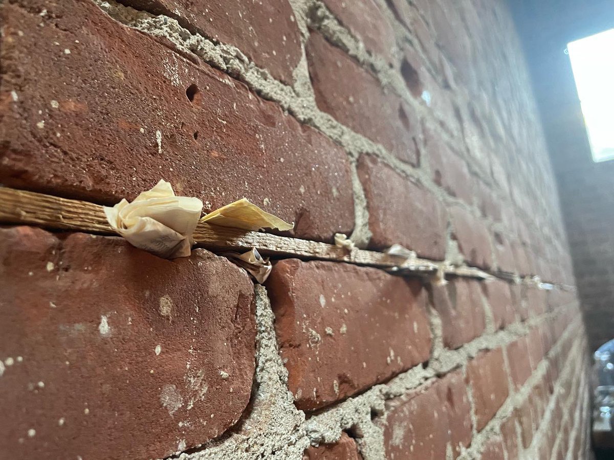 Ashleigh Hollowell tweet media