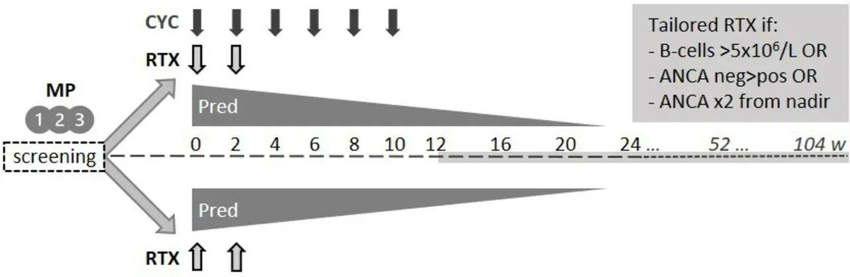 LuVaCs Leiden tweet media