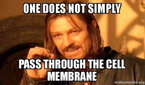 PlasmaM22's tweet photo. So true! If you're not on the #guestlist then you are #kickedout. I don't make the rules, I just enforce them ���‍♀️#getpoliticell #membraneofthepeople #lordoftherings #me #thebest #donteven #toocoolforschool #exclusive #VIP https://t.co/FSN9aEidIZ