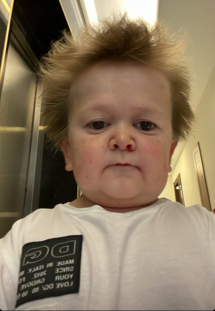 lechuga como un fresco