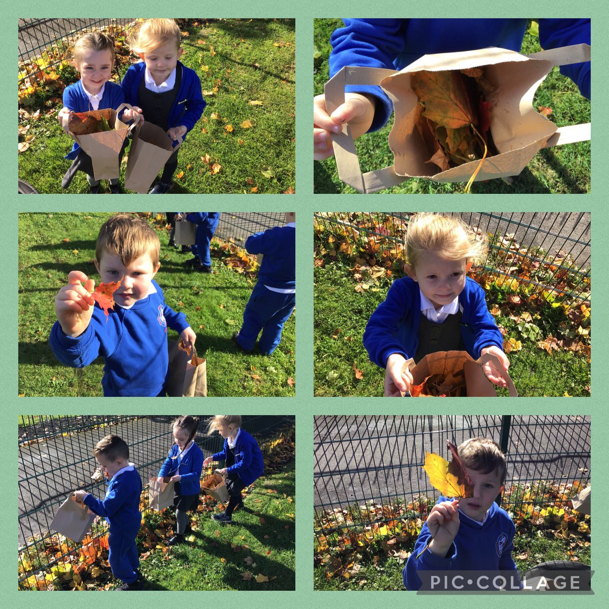 We have been collecting autumn leaves today 🍂🍃🍁 we took them back to class and learned all about more, fewer and the same. We are Ambitious Anwen’s. Bendigedig pawb. ⭐️@DeightonPrimary <a href="/DPSWitcombe/">Witcombe</a> #ambitiouscapablelearners