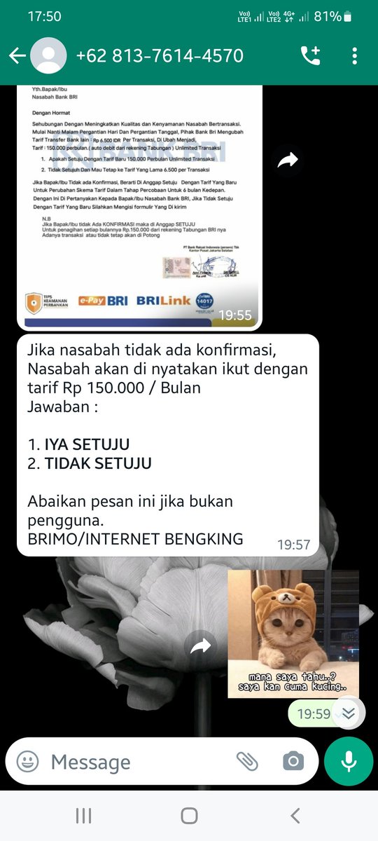 stevent___'s tweet photo. @mrshananto Karena kucing ga punya internet "BENGKING" https://t.co/8p86UQJ8w3