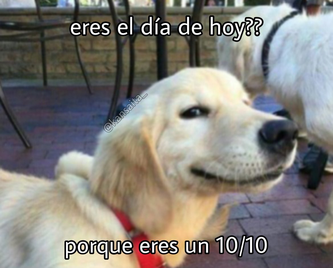 no me llamo vicenta (@kansaita_) on Twitter photo 