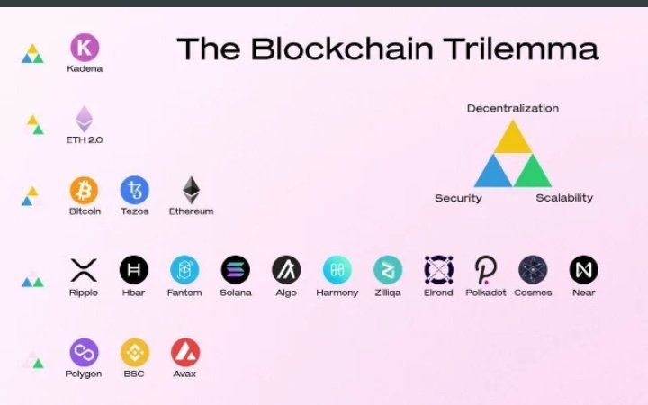 Crypto_MooN tweet media