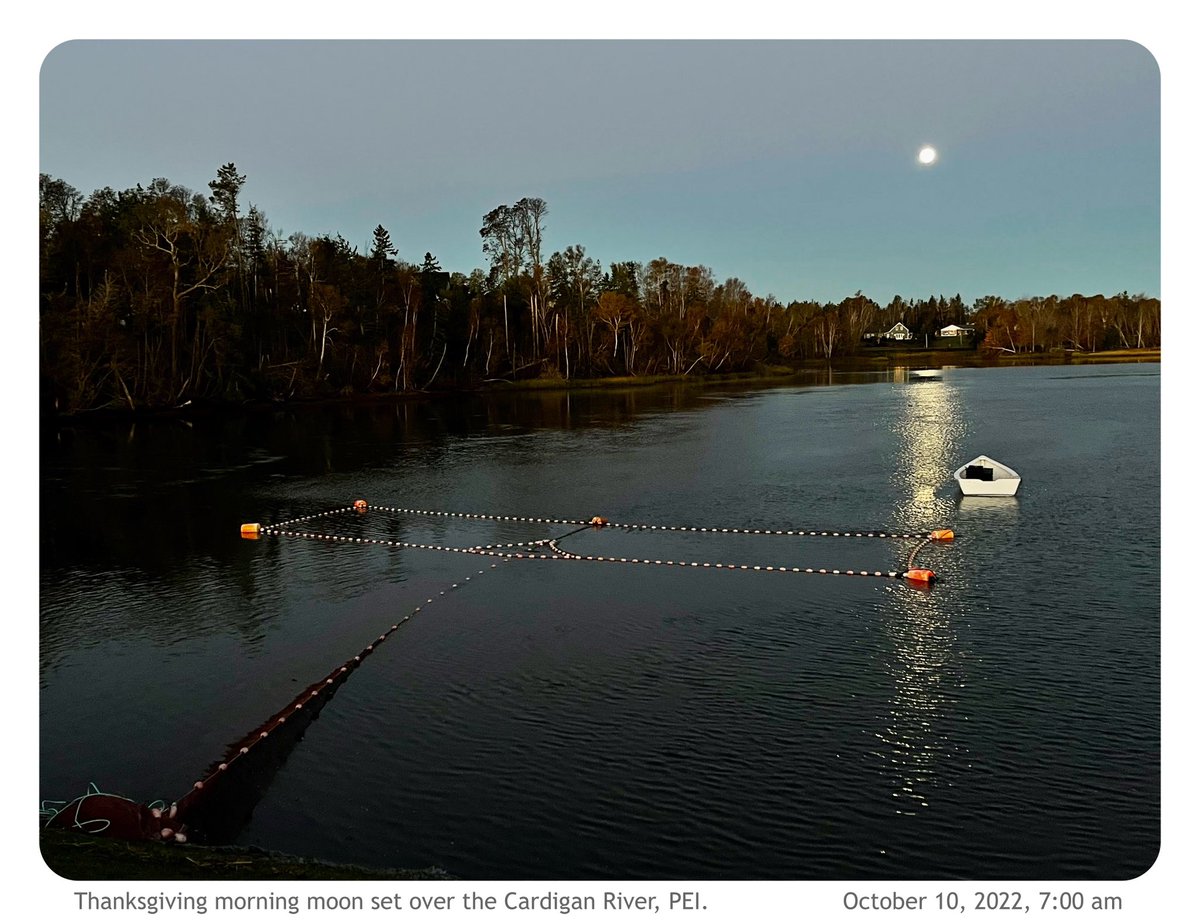 Full moon setting over the Cardigan River #PEI <a href="/CBCPEI/">CBC P.E.I.</a> #stormhour