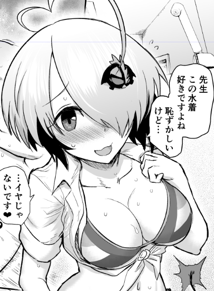 冬コミのボンバーガール・グレイの成人向け本、本文が一旦完成
(水着のシーンは少ないけどこの通りあります) 