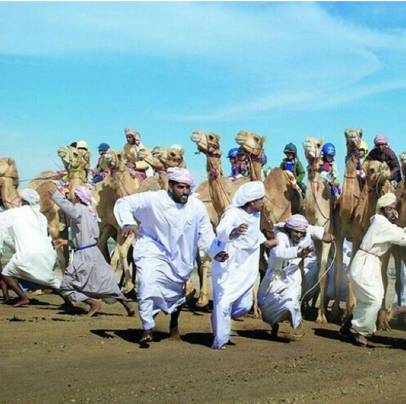 mulunair's tweet photo. #مطالبات_ملاك_الهجن ملخص معارك استمرت أعوام وأن الاوان لوضعها على طاولة الحوار https://t.co/OzmZRa1NYq