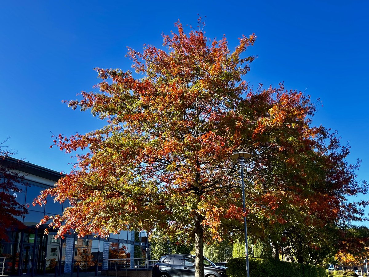 StereoMikey's tweet photo. A stunning walk through the business park to meet up with the Team from @BlytheValley for a chat about #WorldMentalHealthDay at the amazing @javaroastery #thankyou #NeverAlone https://t.co/zhCx5ZGDaQ