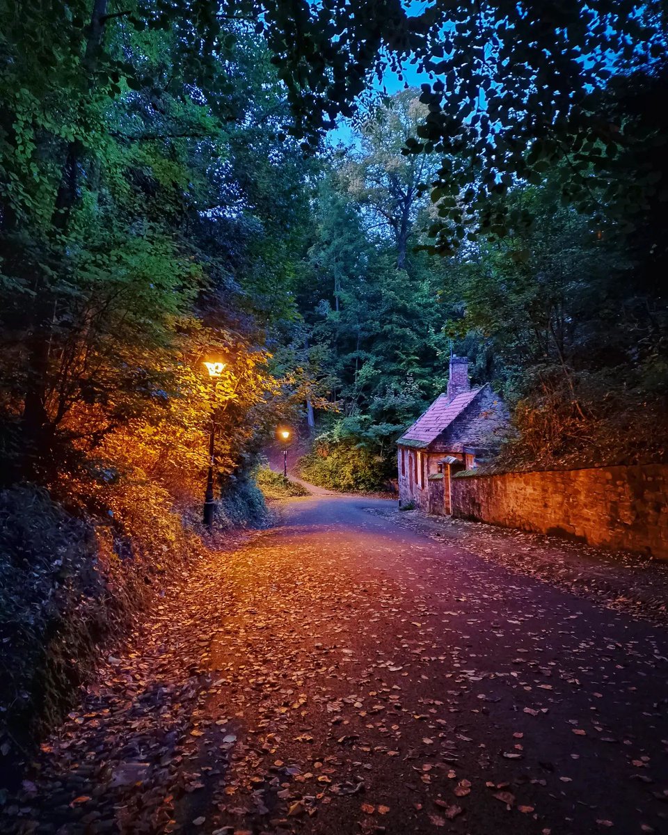 ThisisDurham's tweet photo. "There is a subtle magic in the falling of old leaves.” - Avijeet Das 🍂🍁 A beautiful autumnal shot of the old path leading to #PrebendsBridge in #DurhamCity by IG/@graeme_hallmark #lovedurham #AutumnVibes #autumnleaves https://t.co/qMDITB7yYo
