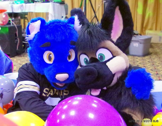 THE_BJBUTTONS's tweet photo. #MephitMonday #Mephit2016 @mephitfurmeet #Mephitfurmeet #Mephit #MFM 2 in the ball pit Sunday night at MFM #fursuit #fursuiter #fursuiting https://t.co/lAlcmgEskF