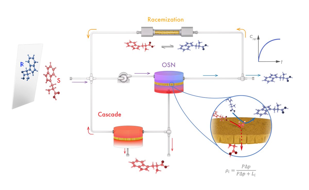 SzekelyGroup's tweet photo. Congrats to @aronkbeke for bridging the gap between materials development &amp; process requirements for membrane-based enantioseparation.👨‍💻Now published in the @J_Membrane_Sci.📚

https://t.co/3G8D8ruHyo
@AMPM_KAUST
@KAUST_PSE 
#membranes #processengineeing #enantioseparation https://t.co/t1Zfi16lKb