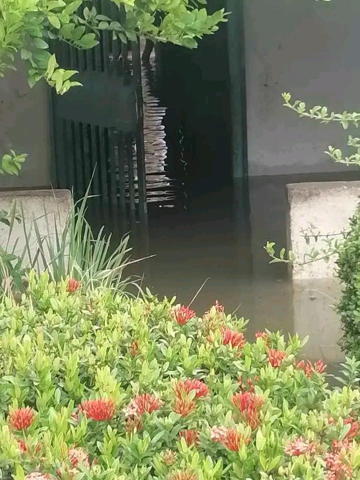 RGomezz1's tweet photo. Duelo Nacional !!! en Bolivar ni el Gobernador ni el alcalde se han enterado o no les da la gana de hacer nada  @NicolásMaduro #ULTIMAHORA https://t.co/EGKpBSW5T4