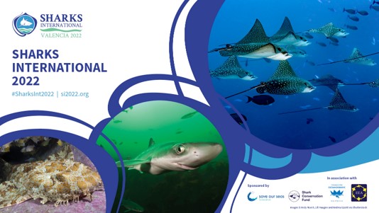 ¡El evento online #SharksInt2022 ya está en marcha! 

Contaremos con las primeras sesiones transmitidas en directo y el contenido grabado estará disponible para todos los asistentes registrados.

Todavía estás a tiempo para inscribirte, ¡no te lo pierdas! bit.ly/3ClPnAY