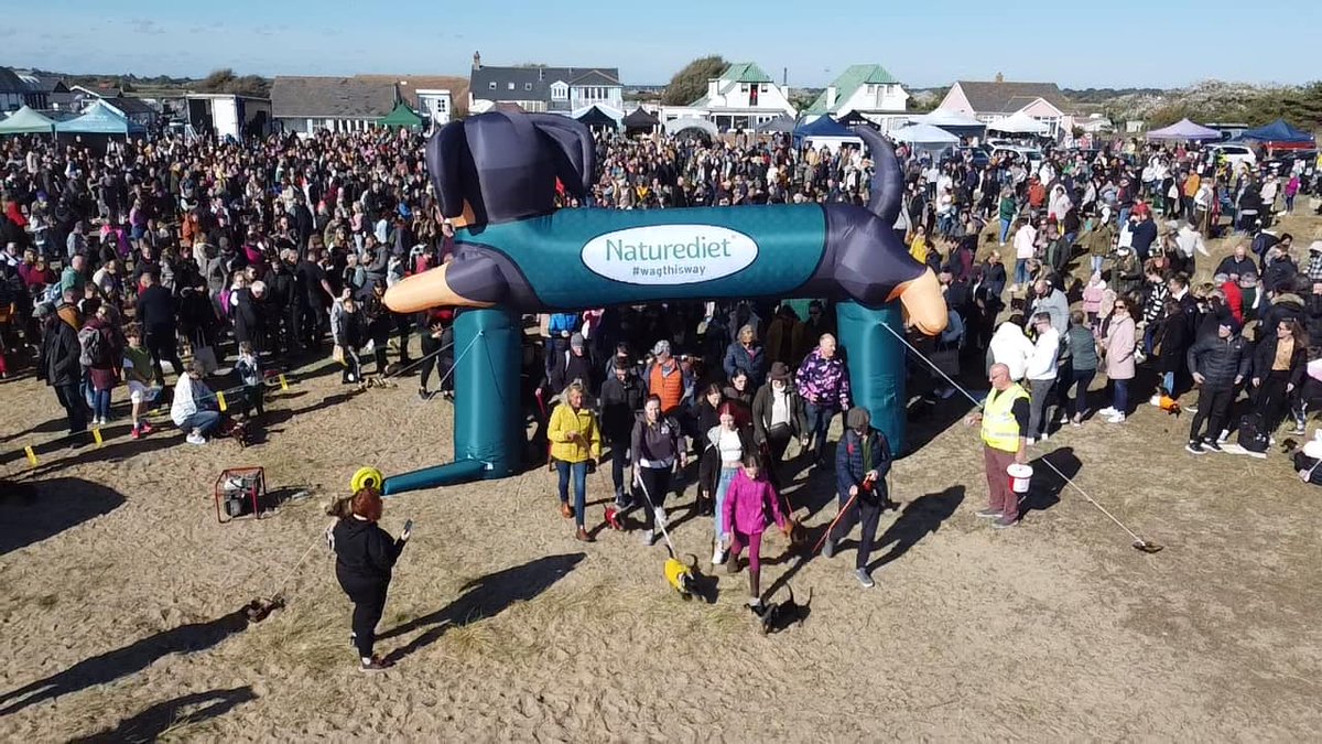 Redrecruit's tweet photo. This weekend our very own Austin Butterfield &amp; Clare Cracknell participated in a Guinness World Record attempt for the most Sausage dogs at the Southwold Sausage Dog Walk fundraising for dedicated to dachshunds.

They smashed the record with a massive 2,238 doggies in attendance! https://t.co/WevBV8lSZL