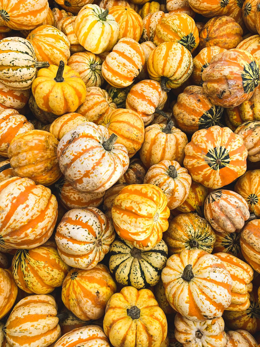 VidayComida's tweet photo. 🍂 “De la naturaleza
lo mejor en cada época.”
#detemporada
#vidaycomida 
#calabaza https://t.co/ID4xNwFf3H