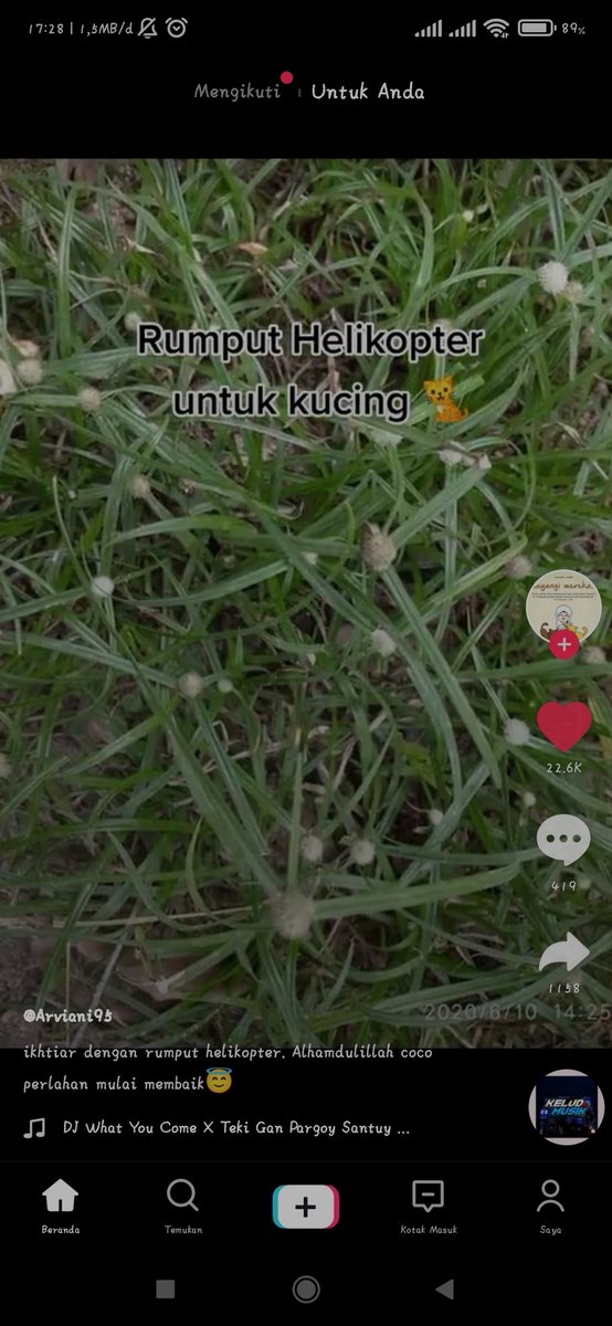 KochengFess v2 tweet media