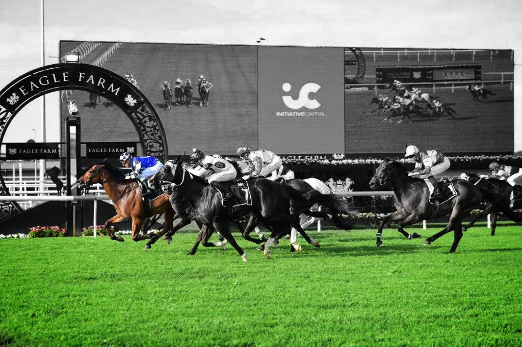 ausbloodstock2's tweet photo. https://t.co/RhZviinMVZ