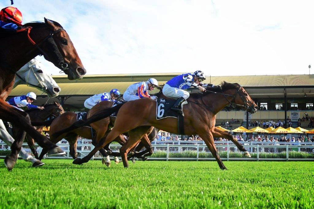 Australian Bloodstock Updates (@ausbloodstock2) on Twitter photo 