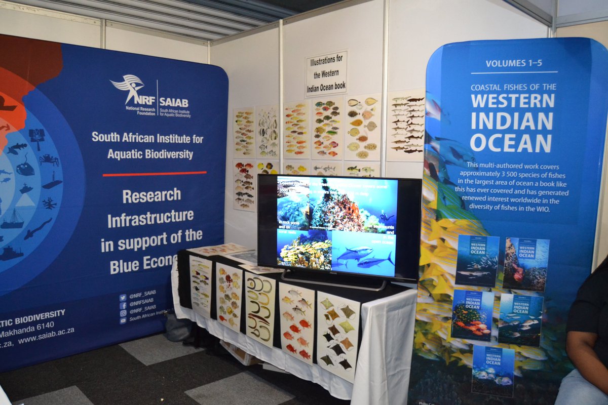 NRF_SAIAB's tweet photo. @NRF_SAIAB  is at the 12th @wiomsa Scientific Symposium and has set up an exhibition to promote the Coastal Fishes of the Western Indian Ocean from 10-15 October 2022, in Gqeberha/ Port Elizabeth, South Africa. 
#WIOMSA2022 #CFWIO @NRF_News @dsigovza https://t.co/NoIJyr2OeQ