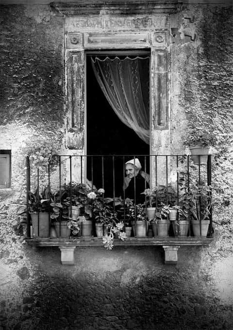 literlandweb1's tweet photo. "El hombre feliz es aquel que, siendo rey o campesino, encuentra paz en su hogar”. 
Johann Wolfgang von Goethe https://t.co/u96Vy7SqnR